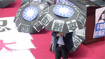 立院延會至8/31史上最久！綠委「撐黑傘」抗議 ...