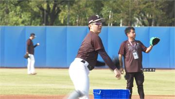 WBC／中華隊13、14日邀台鋼雄鷹練習賽 「免...