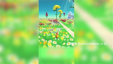 「散步種花」夯翻全台！皮克敏熱潮延燒　政治人物也...