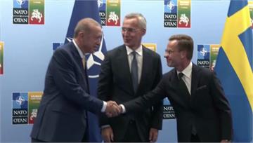 達成共識！ 土耳其總統：挺瑞典加入北約