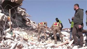 土耳其強震23天　受困哈士奇奇蹟獲救