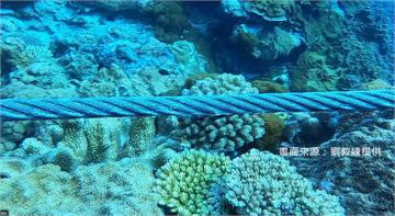 綠島珊瑚礁再遭破壞 凶手又是南寮漁港整修包商！