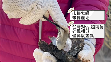 越南低價牡蠣混充台灣貨 台南蚵農抗議要求嚴管