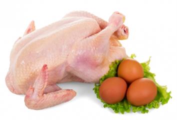 雞蛋、雞肉怎麼挑最新鮮？