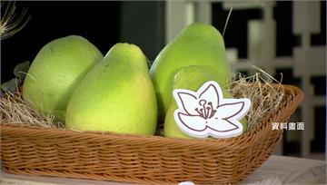 中國海關總署釋善意　批准台灣文旦柚輸入