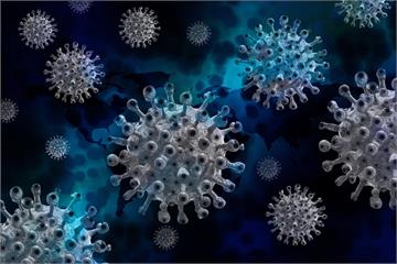 疫情持續蔓延 芬蘭、日本出現新變種病毒