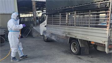 台南後壁豬農禁運期載13頭母豬趴趴走 市府重罰3...