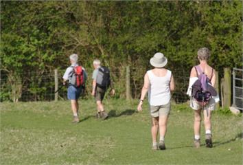 75歲以上也能愛上運動！ 專家教5方法提升意願
