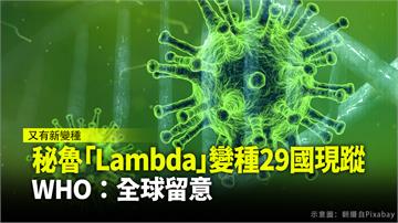 秘魯「Lambda」變種病毒29國現蹤 WHO：...