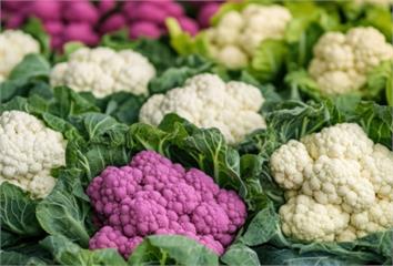 想預防失智？研究：植物性飲食有幫助 但要避開加工...