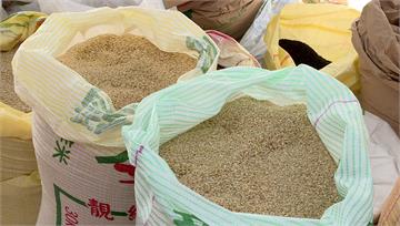 全球糧價衝天 外媒示警「稻米」恐淪為下一個