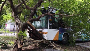 首都客運內湖三總院內撞樹10人送醫 擋風玻璃、車...