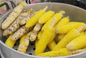 很多人當減肥聖品吃！ 營養師揭「這1種玉米」害血...