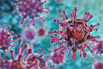 致死率75%且「無藥可醫」！ 立百病毒怎麼傳？ ...