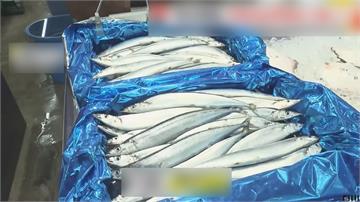 日本秋刀魚產量大增 酷暑中少有利多