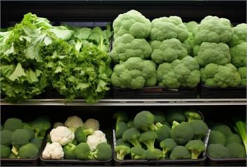 營養師推薦6大抗老食物 吃出由內而外的青春力