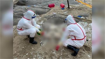 馬祖豬屍驗出「非洲豬瘟陽性」 農業部今起至11/...