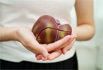 「這10個習慣」正慢慢毀掉你的肝！醫示警第1名很...