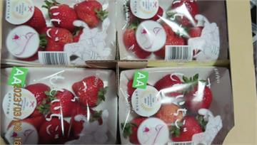 評估放寬「日本草莓農藥標準」 食藥署挨批：拍馬屁