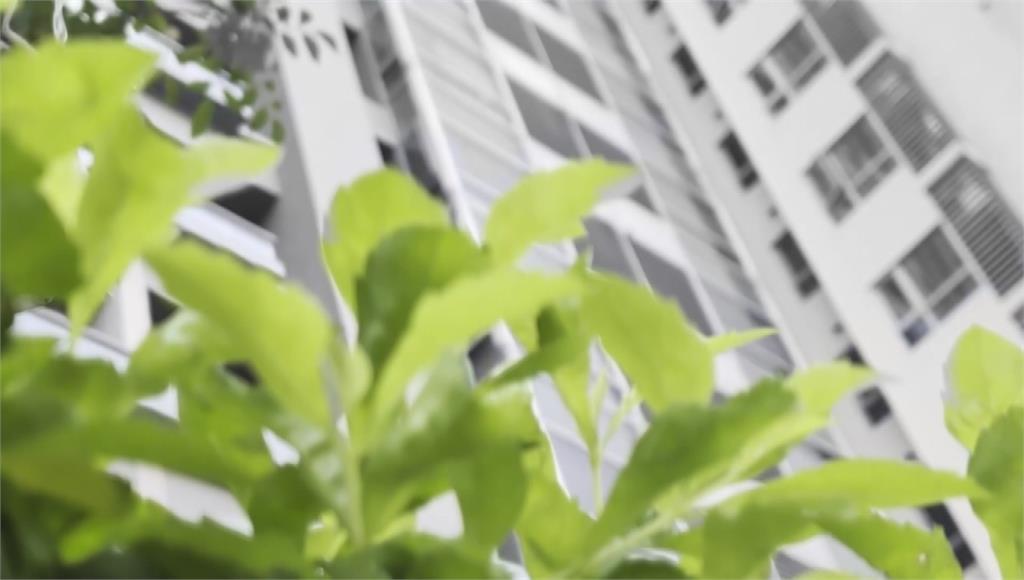 台中12歲兒因咖啡買太久遭母毆打瘀青。圖／台視新聞