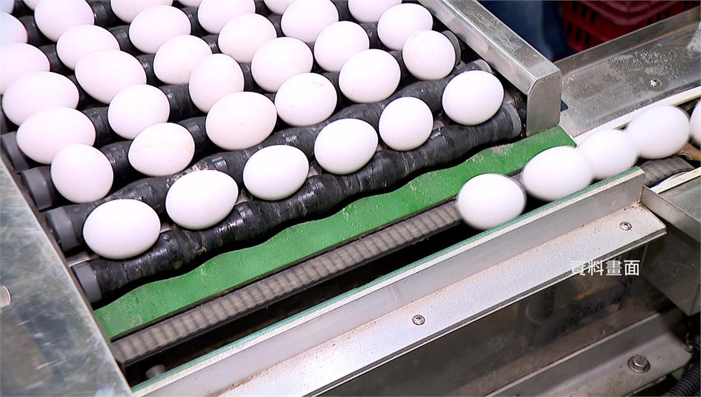 巴西進口雞蛋販售期逾4個月遭質疑。圖／台視新聞（資料畫面）