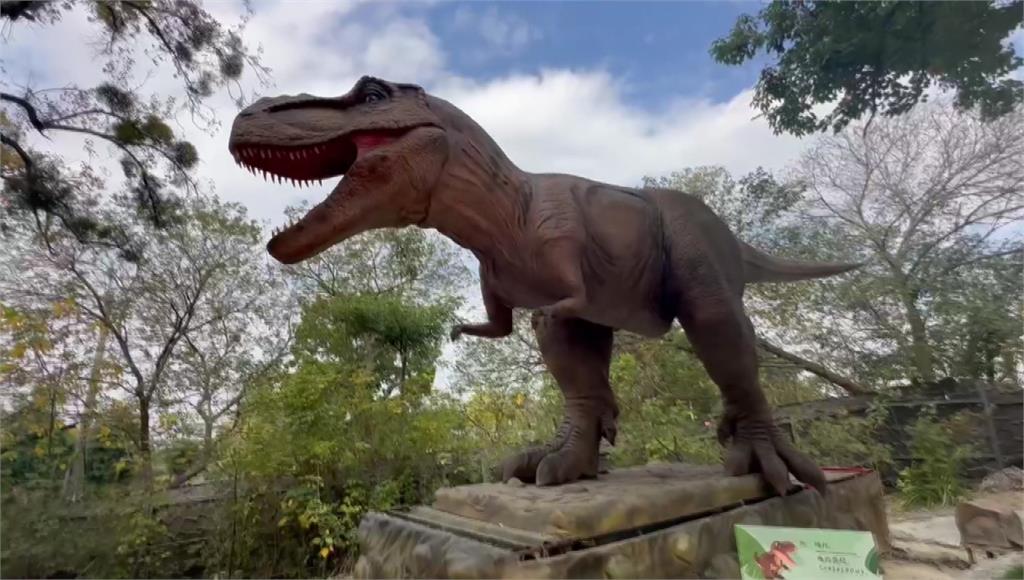 4口之家玩透透要5千！台版侏儸紀公園遭質疑太貴 業者這樣說