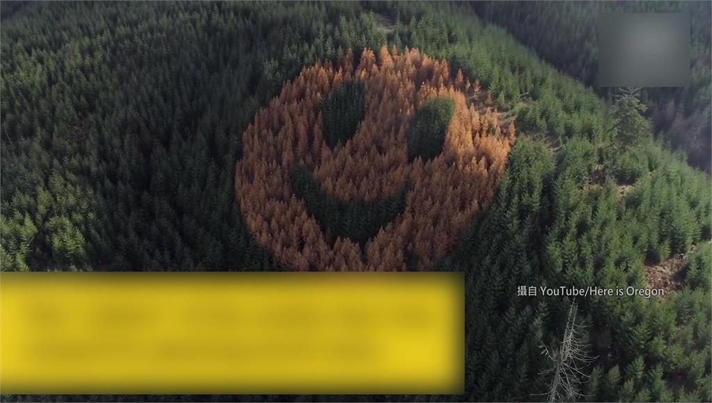 美國山上有巨型笑臉。圖／翻攝自YouTube@Here is Oregon
