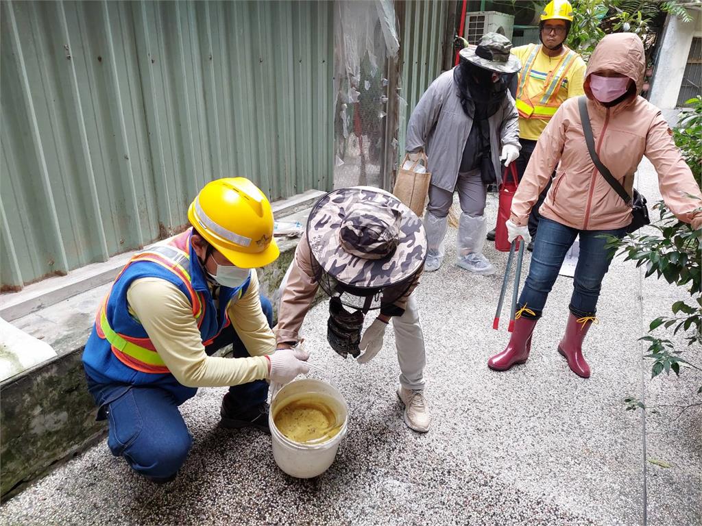 萬華新增1例登革熱本土病例。圖／臺北市衛生局提供