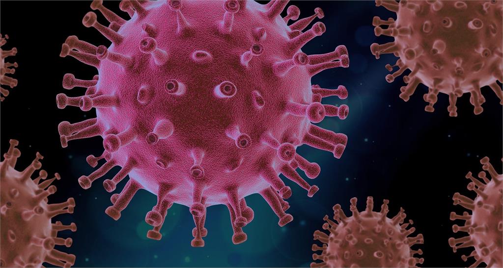 有人感染新冠病毒卻毫無症狀、生活正常，其實關鍵在於「基因」。示意圖／翻攝自Pixabay@PIRO4D