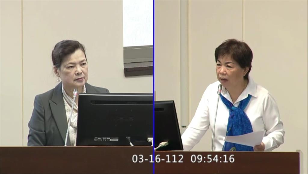 經濟部長王美花在立法院質詢。圖／翻攝自國會頻道