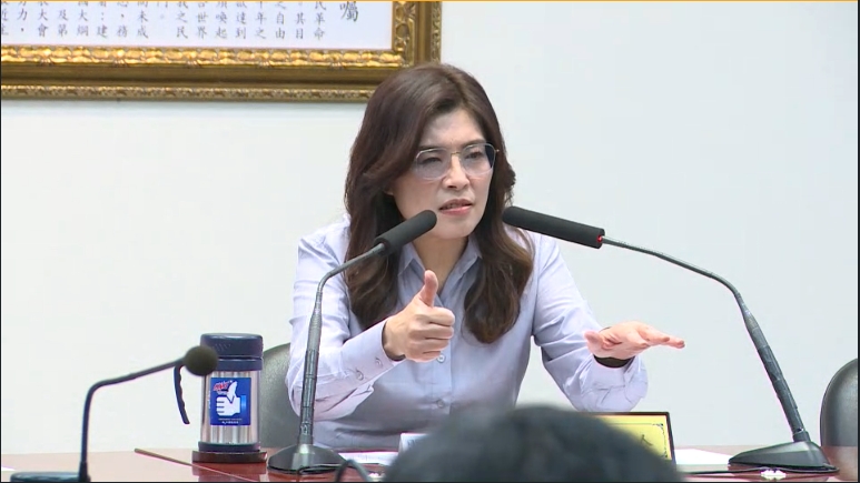 遭爆企圖用欺瞞手段會晤美議員！鄭麗文：綠營用卑劣手法抹黑