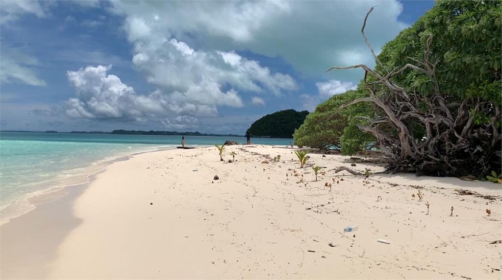 帛琉除了豐富海洋觀光資源，也有獨特人文歷史及美食文化。圖／台視新聞