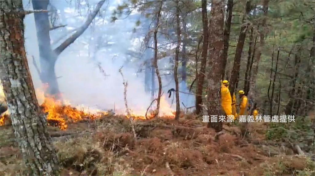 林務局針對玉山森林大火向喬建中求償2.2億元。圖／嘉義林管處提供