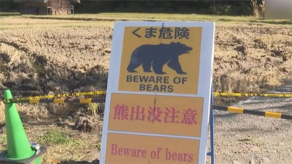 日本野熊出沒頻傷人 自衛隊奉命上陣