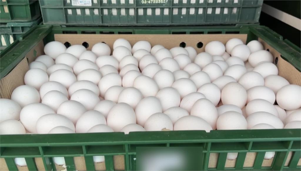 出貨4萬顆問題蛋 龍忠蛋行負責人20萬交保