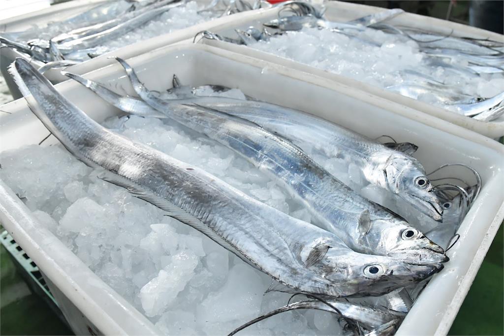 中國恢復台灣白帶魚和凍竹筴魚輸入。圖／翻攝自農委會官網