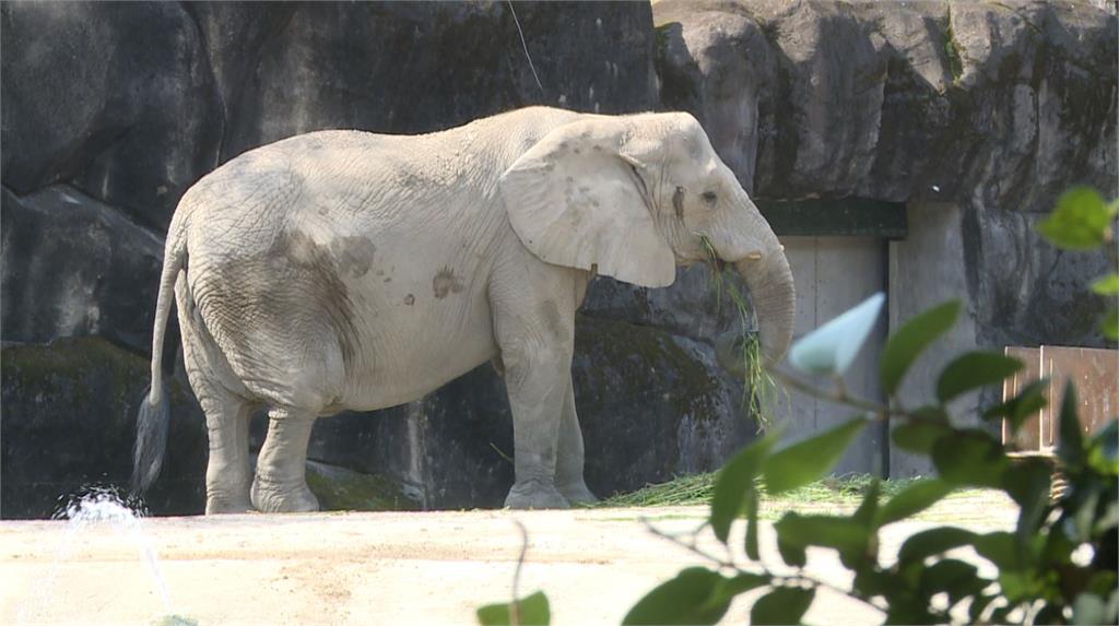 台北市動物園說明動物「出逃順序」。圖／台視新聞