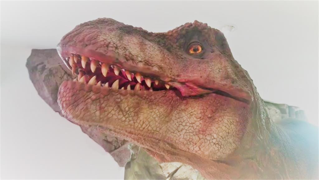 澎湖地質探索館盛大開幕，裡頭展示著侏羅紀時期的恐龍模型。圖：台視新聞