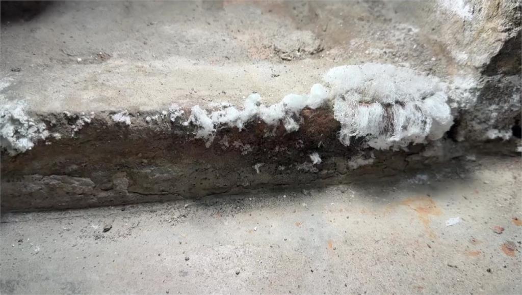 疑是地上霜？！ 鹿港老街古宅驚見白色結晶