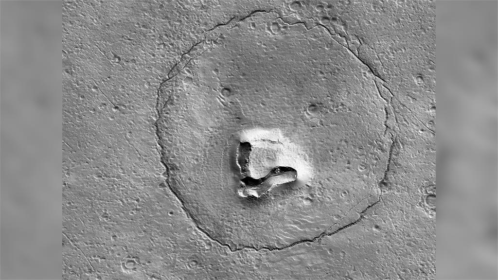 NASA捕捉火星地表出現超萌「大灰熊」。圖／翻攝自Twitter@HiRISE