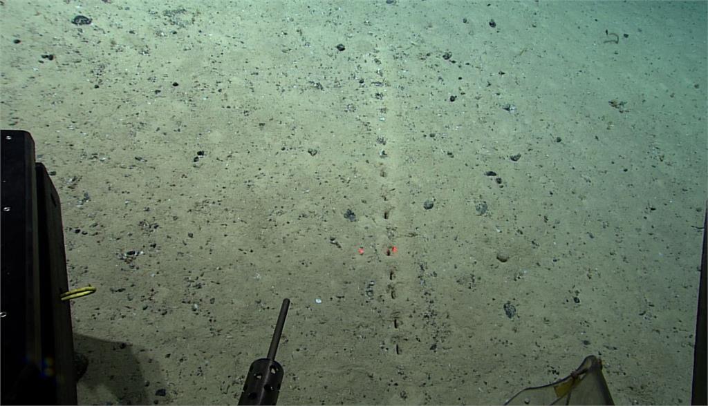 美國國家海洋暨大氣總署在大西洋海底，拍到一排神祕的洞。圖／翻攝自Facebook@NOAA Ocean Exploration