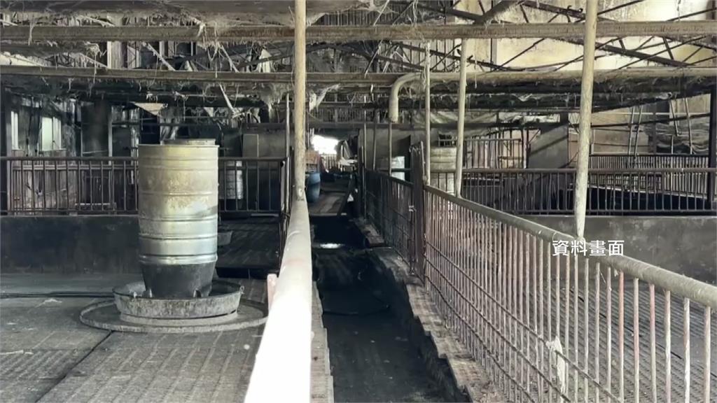 隱匿死豬害全台損失21億 陳姓豬農父子各判1年半、3年
