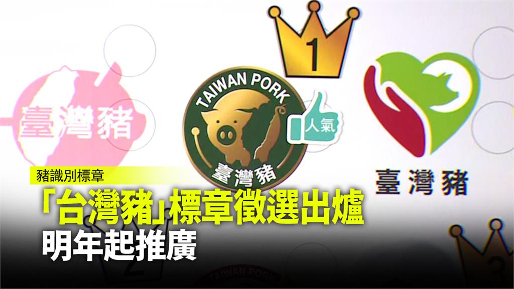 「台灣豬識別標章」徵選活動今天公布得獎作品。圖：台視新聞