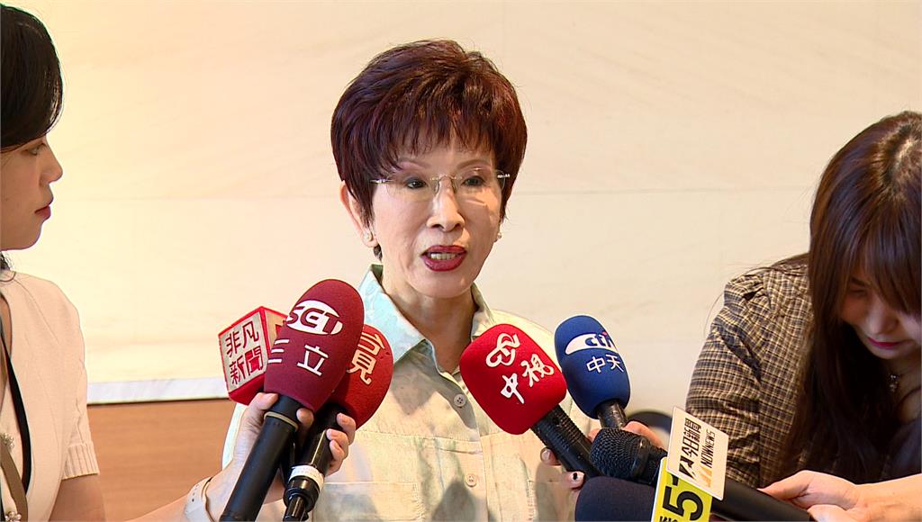 前國民黨主席洪秀柱。圖／台視新聞（資料畫面）