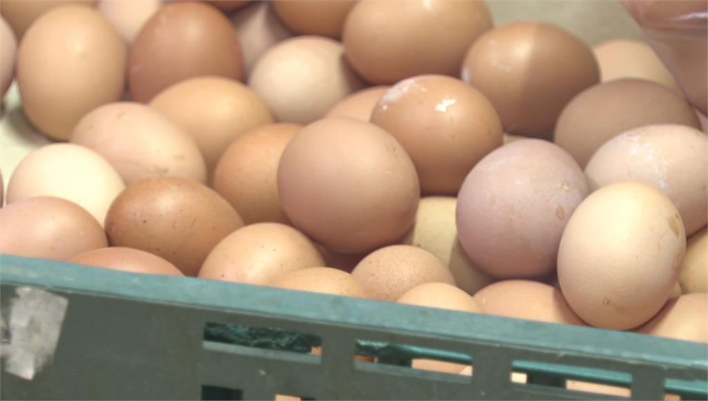 雞蛋價格維持。圖／台視新聞