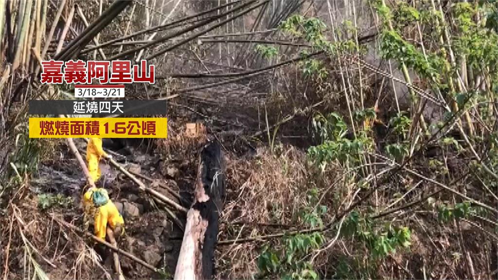 阿里山林火Day4 週日消防出動直升機灑水