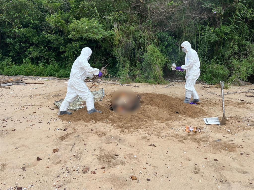 烏沙角岸際出現非洲豬瘟海漂豬屍 金門豬肉及加工產品禁輸台一週