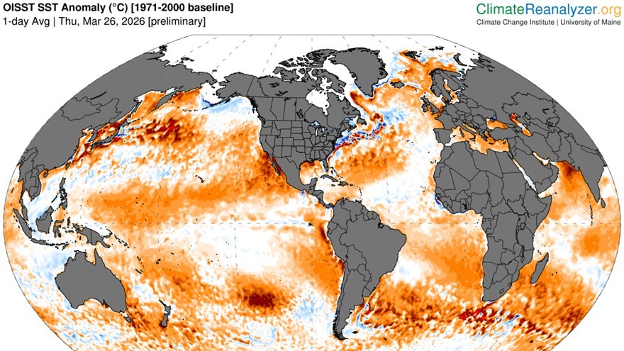 海洋進入最高溫狀態 鄭明典：全球暖化短期回不去、升溫恐加速