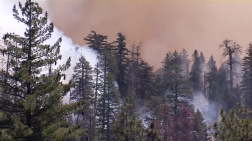 加州國家公園林火蔓延逾650公頃。圖／CNN、美聯社