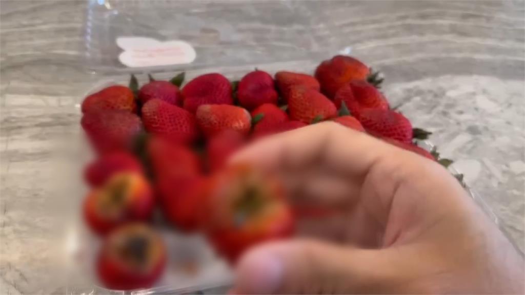 進口草莓保存期短 男子美式賣場買到發霉草莓